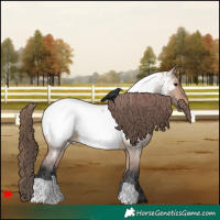 Horse Color:Bay Roan Dun Appaloosa