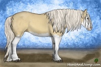 Horse Color:Palomino Dun Splash 