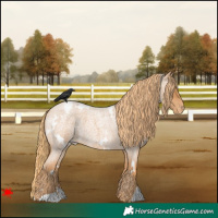 Horse Color:White Spotted Red Roan Varnish 