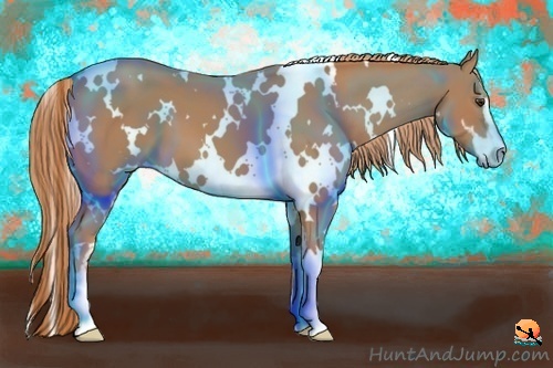 Horse Color:White Spotted Chestnut Sabino