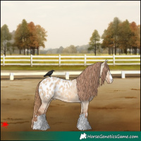 Horse Color:Red Dun Blanket 