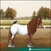 Horse Color:Chestnut Snowcap 