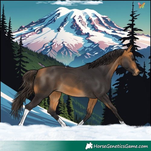Horse Color:Buckskin Tobiano 