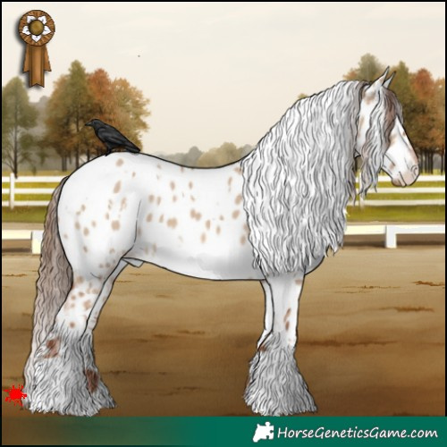Horse Color:White Spotted Red Dun Appaloosa 