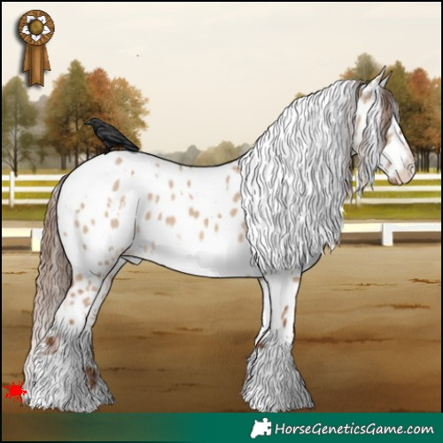Horse Color:White Spotted Red Dun Near Leopard 