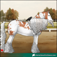 Horse Color:White Spotted Silver Bay Splash Blanket 