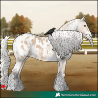 Horse Color:White Spotted Silver Bay Dun Appaloosa