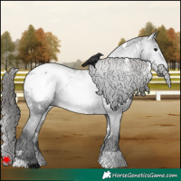Horse Color:Gray White Spotted Black Snowcap