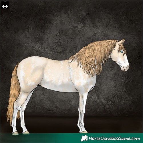 Horse Color:Buckskin Pearl Sabino 