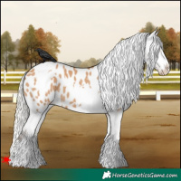 Horse Color:White Spotted Silver Bay Dun Appaloosa