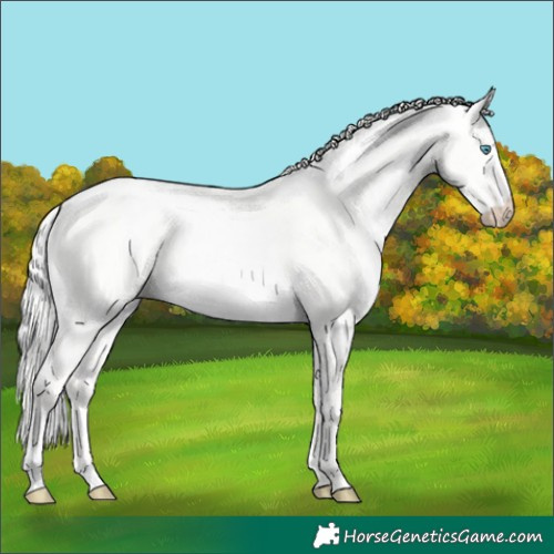 Horse Color:Cremello Dun 