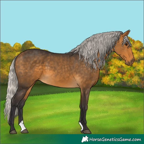 Horse Color:Silver Buckskin 