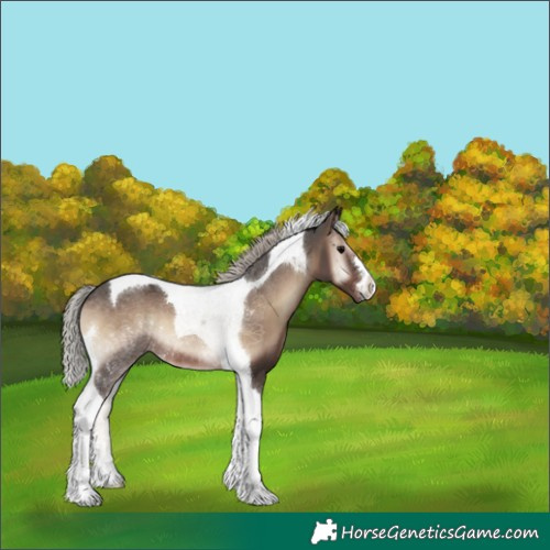 Horse Color:Silver Blue Onyx Tobiano 