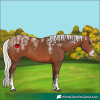 Horse Color:Powder White Silver Brown 