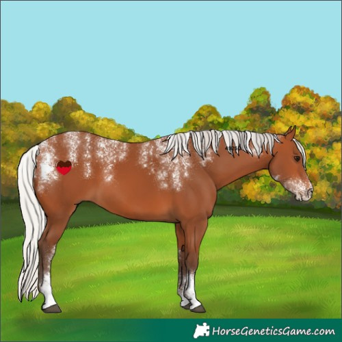 Horse Color:Powder White Silver Bay 