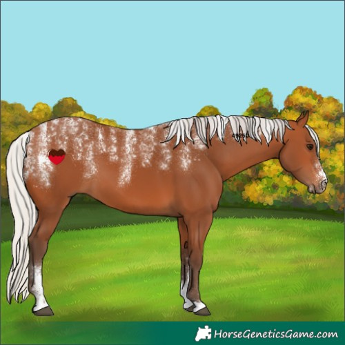 Horse Color:Powder White Silver Bay 