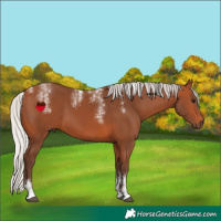 Horse Color:Powder White Silver Bay 
