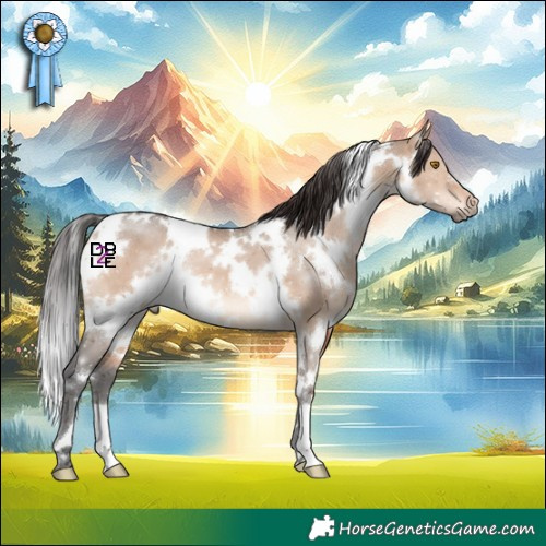 Horse Color:White Spotted Brown Dun