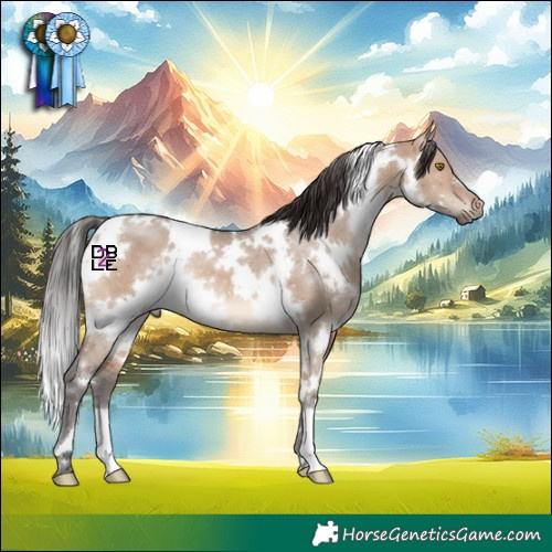 Horse Color:White Spotted Brown Dun 