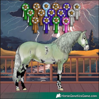 Horse Color:Watercolor Silver Blue Onyx Sabino