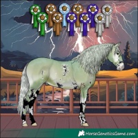 Horse Color:Watercolor Silver Blue Onyx Sabino 