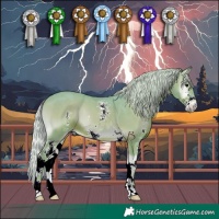 Horse Color:Watercolor Silver Blue Onyx Sabino