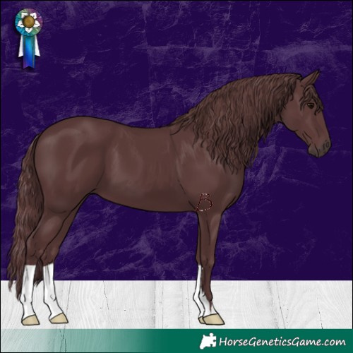 Horse Color:Chocolate Black 