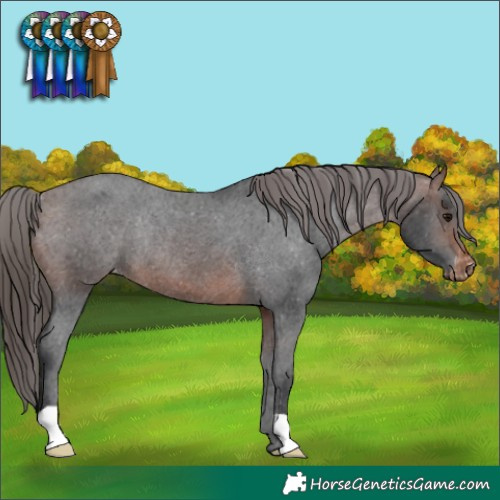 Horse Color:Brown Varnish Rabicano 