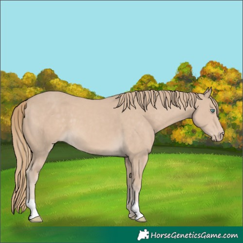 Horse Color:Smoky Creme 