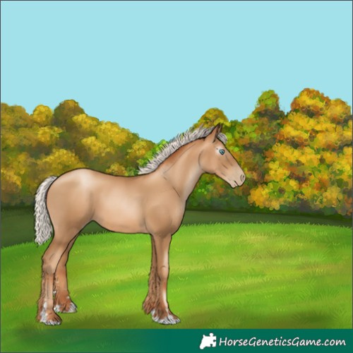 Horse Color:Gray Silver Classic Champagne Pearl 