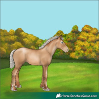 Horse Color:Gray Silver Classic Champagne Pearl