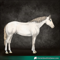 Horse Color:Buckskin Roan Pearl and Buckskin Roan Pearl