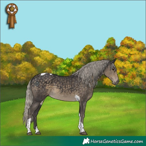 Horse Color:Silver Smoky Black Tobiano 