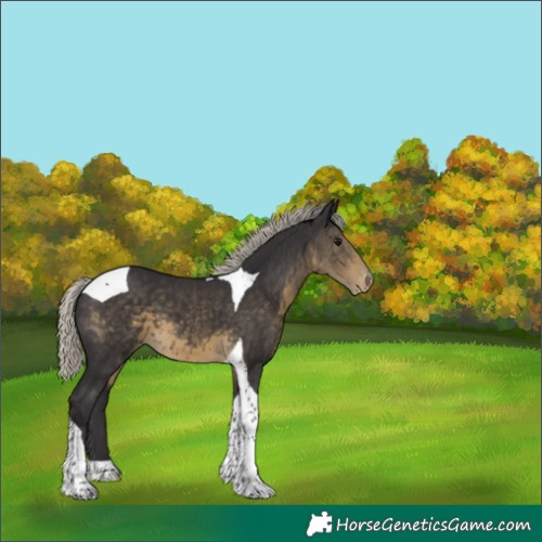 Horse Color:Silver Smoky Black Tobiano Varnish 
