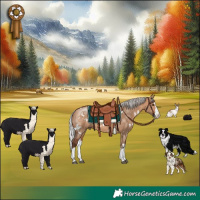 Horse Color:White Spotted Silver Brown Dun Splash Rabicano