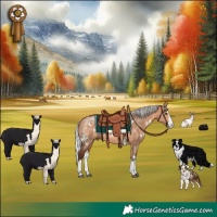 Horse Color:White Spotted Silver Brown Dun Splash Rabicano 