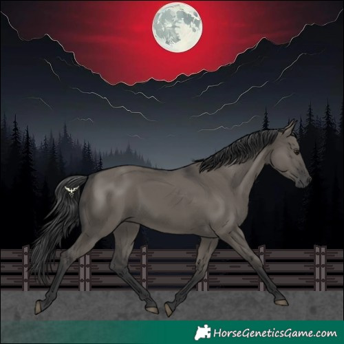 Horse Color:Grullo 