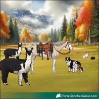 Horse Color:Silver Classic Champagne Dun Splash 