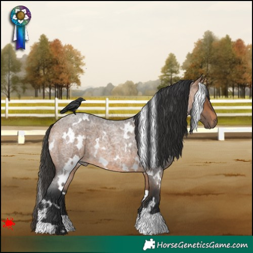 Horse Color:White Spotted Bay Roan 
