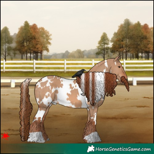 Horse Color:White Spotted Red Dun 