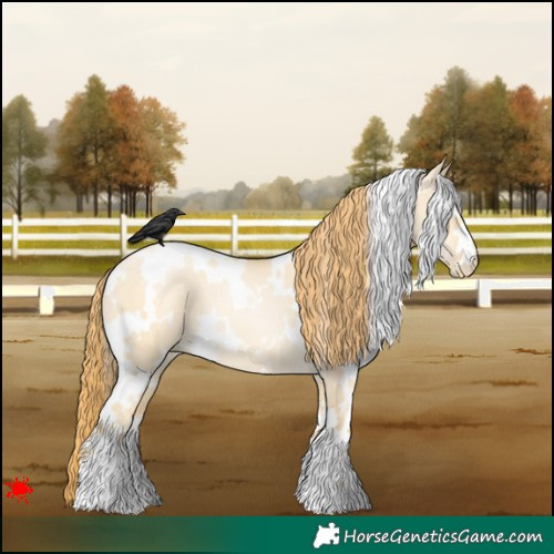 Horse Color:White Spotted Buckskin Pearl Dun 