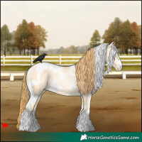 Horse Color:White Spotted Buckskin Pearl Dun 
