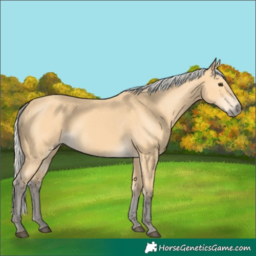 Horse Color:Silver Buckskin