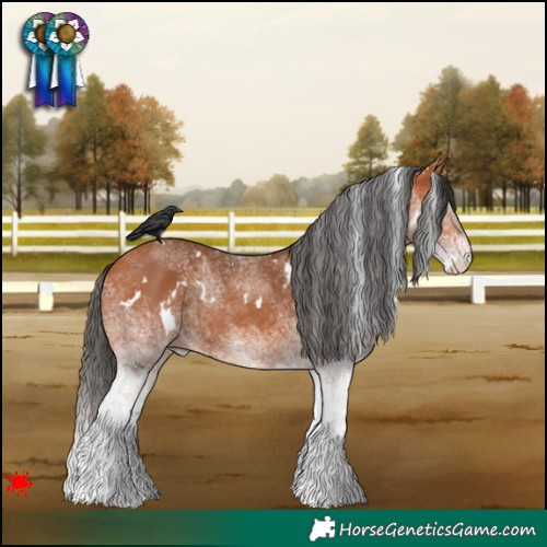 Horse Color:White Spotted Bay 