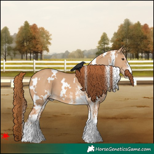 Horse Color:White Spotted Red Dun 
