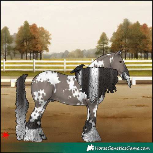 Horse Color:White Spotted Smoky Grullo 
