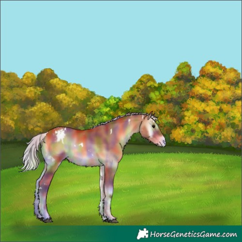 Horse Color:Nacre White Spotted Silver Bay Onyx Varnish 