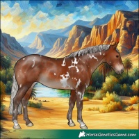 Horse Color:White Spotted Silver Brown Rabicano