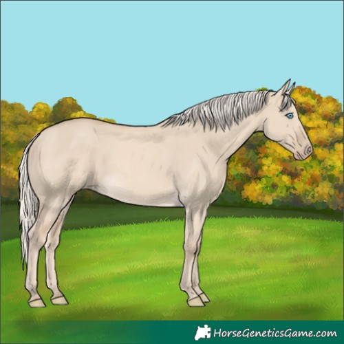 Horse Color:Cremello Dun
