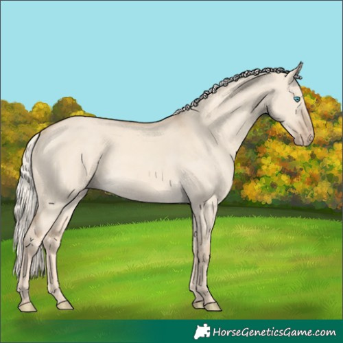 Horse Color:Cremello Dun